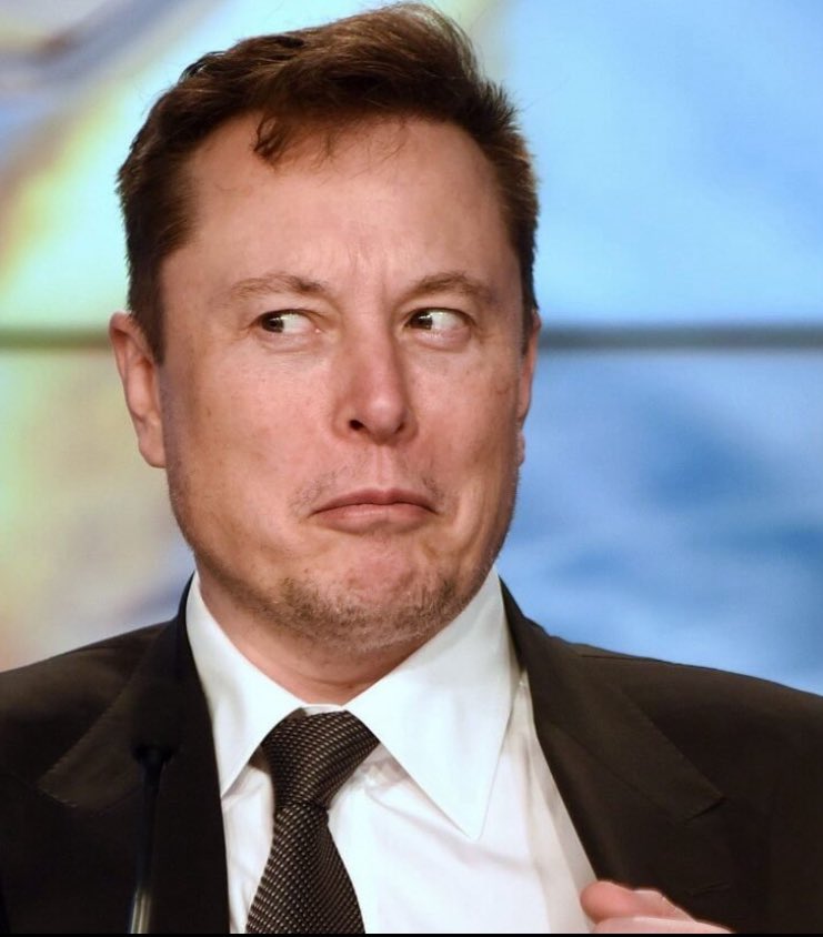 I loved the Cillian Murphy meme with the silent, judging look, the slow turn to the side.  I have replaced that expression with <a href="/elonmusk/">Elon Musk</a> face, which I interpret as "What the Actual Efff are you thinking?!"