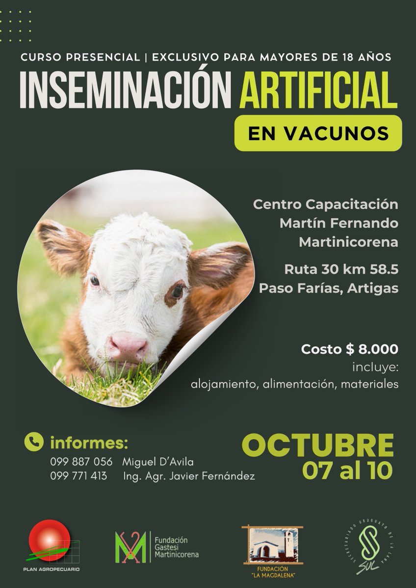 PlanAgro's tweet photo. 📢¡Inscripciones abiertas!

Curso presencial "Inseminación artificial en vacunos"
📌CCMFM, Paso Farías, Artigas
🗓️7 al 10/10 
✍️📲099887056/ 099771413
➕ℹ️🖼️👇

#Capacitación #Ganadería #Campo #FundaciónGastesiMartinicorena #FundaciónLaMagdalena @SUL_uy @jafernandez666  #PlanAgro https://t.co/0qVgi39Ed9