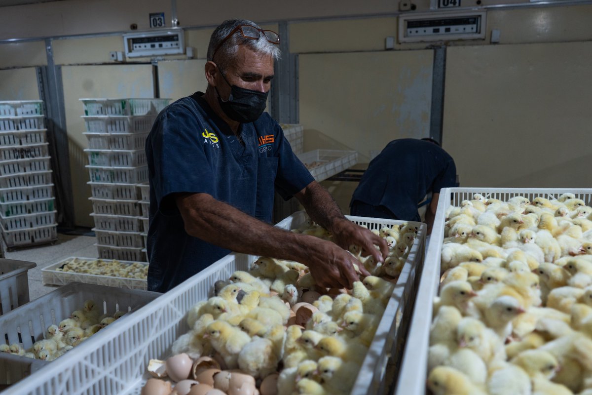 JHS Agroindustria tweet media