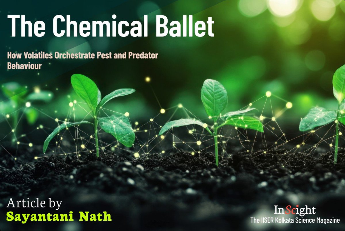 InScight tweet media