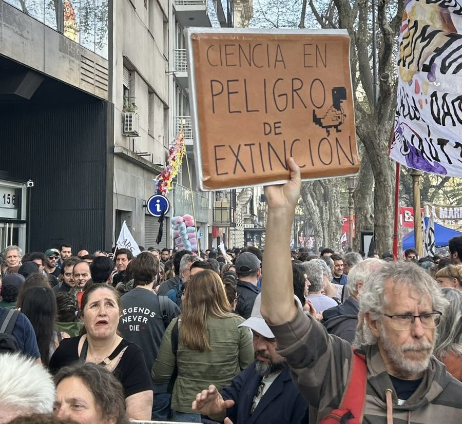 Mónica Litza tweet media