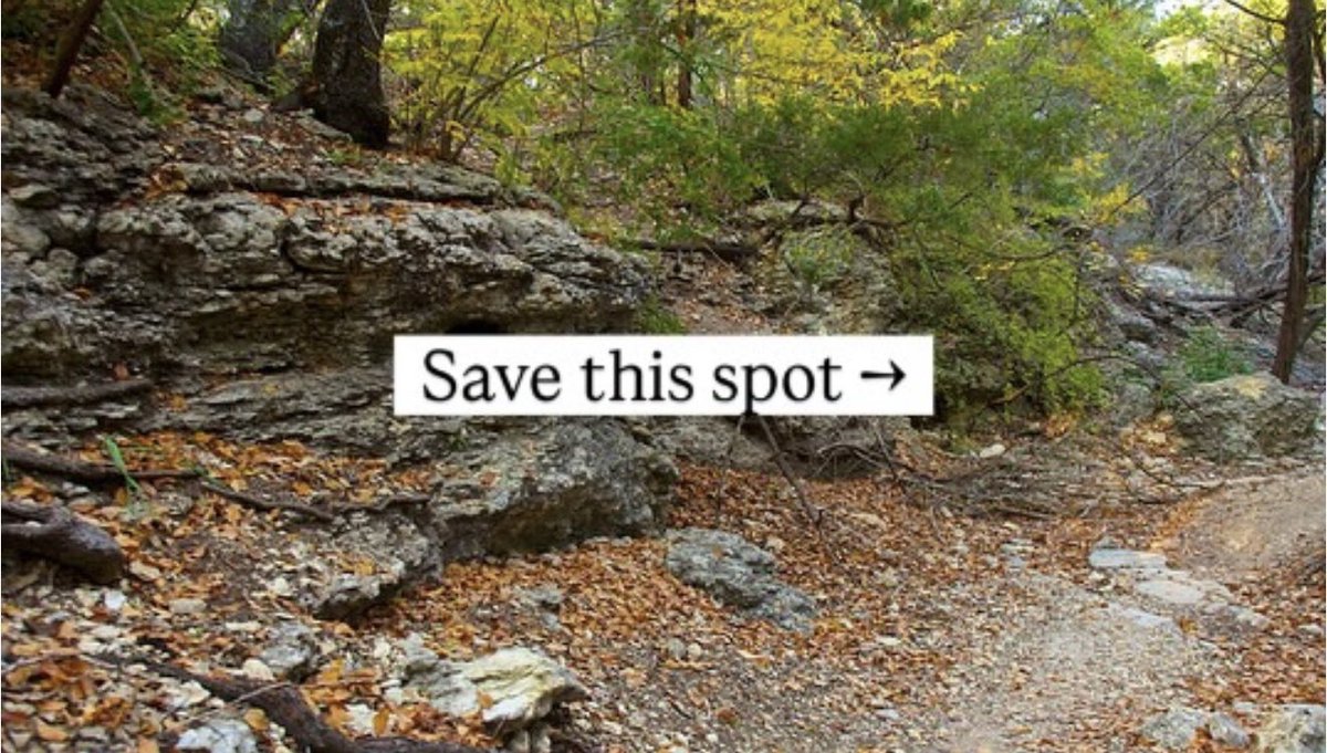 Tiffany Stevens tweet media