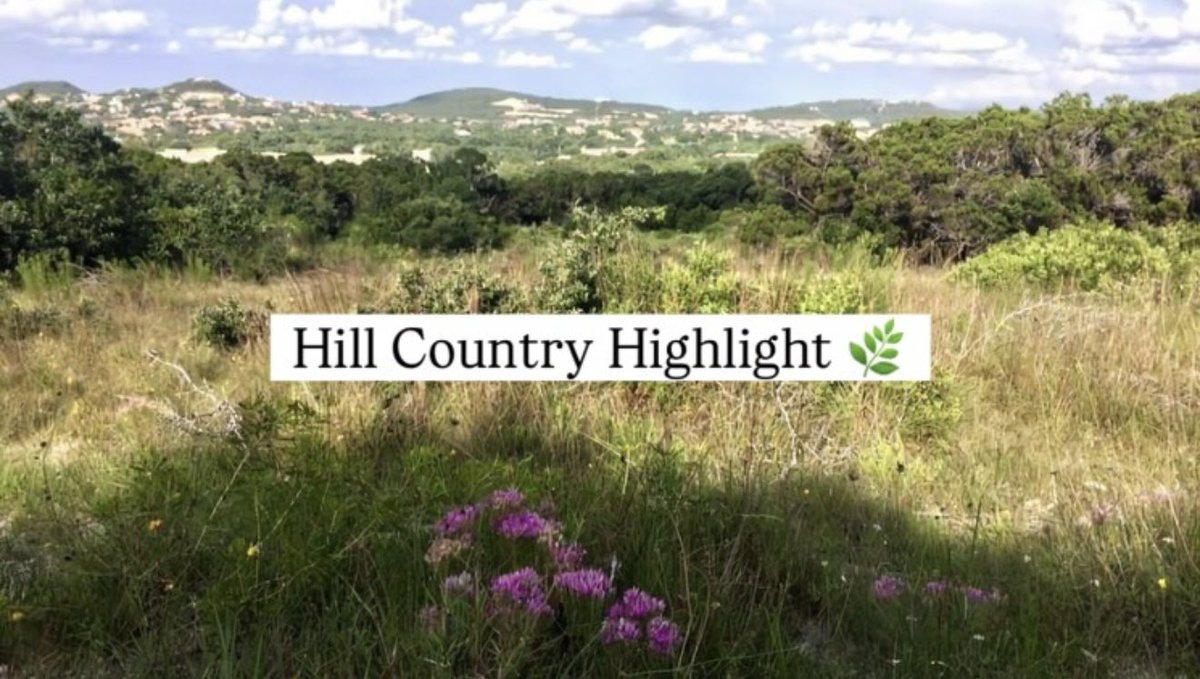 Tiffany Stevens tweet media