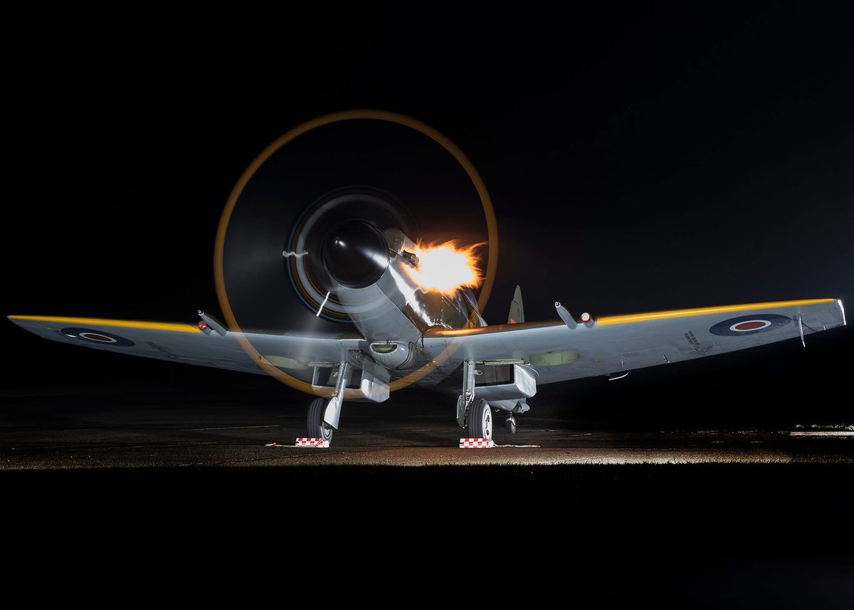 Maria Murphy tweet media