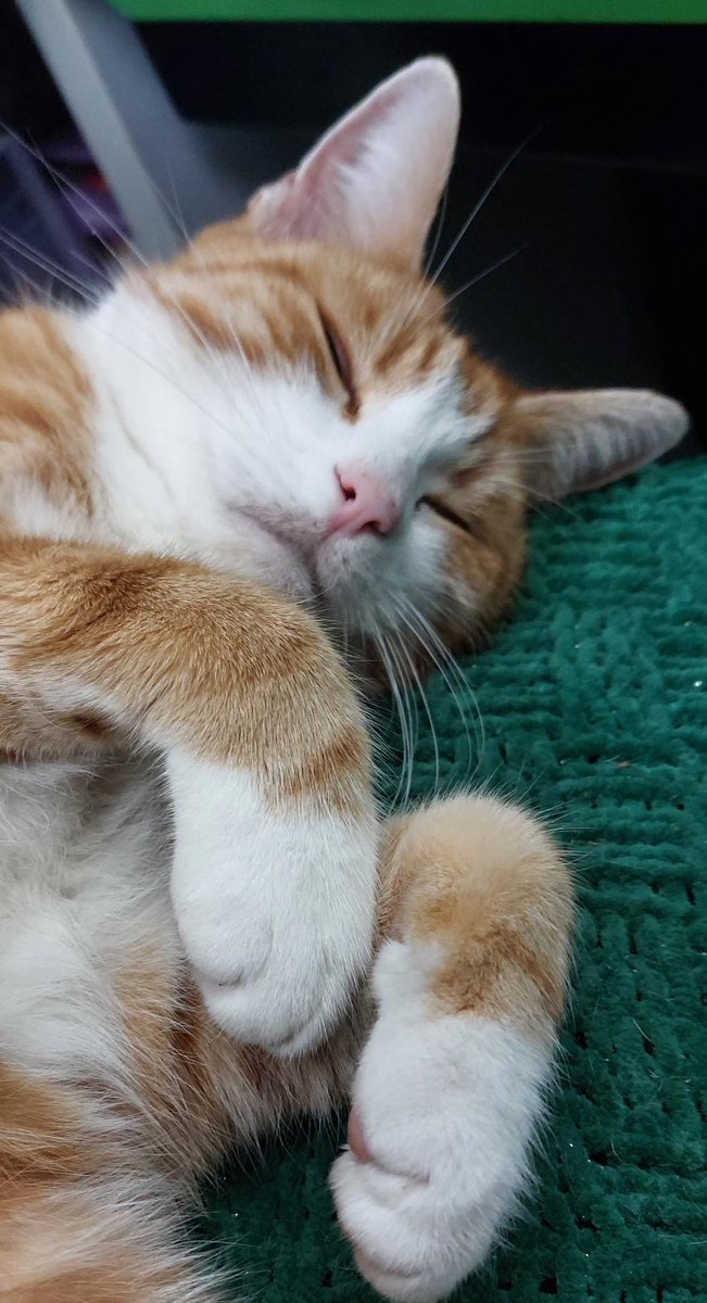 Night night sweet dreamies 

 Sometimes sadness sits heavy, like that awful knot in your tummy you can’t quite shake
It’s okay to feel it. 
Feelings don’t make you weak they make you human
Be kind to yourself in those moments. Breathe, rest, and know this won’t last forever