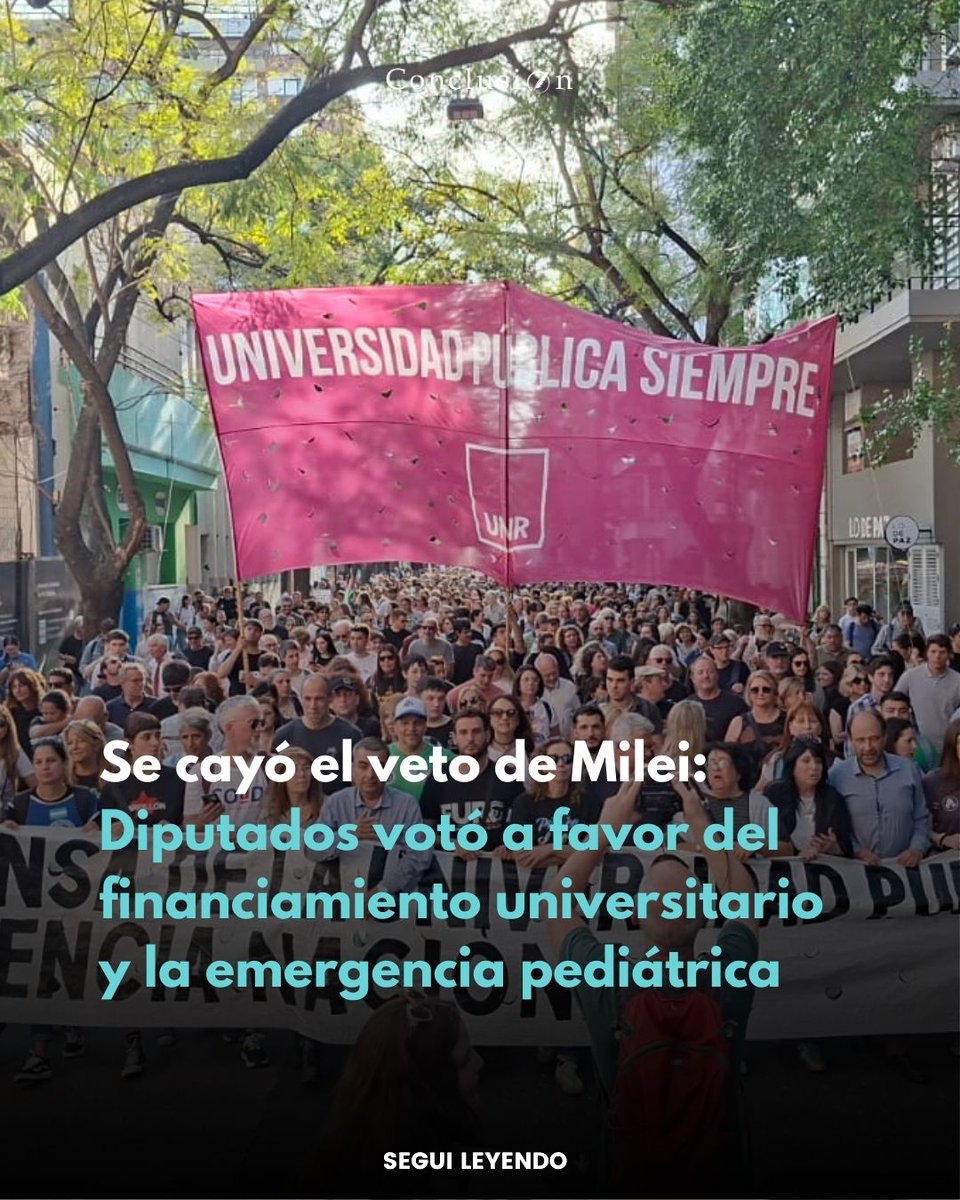 𝗦𝗘 𝗖𝗔𝗬𝗢́ 𝗘𝗟 𝗩𝗘𝗧𝗢 𝗗𝗘 𝗠𝗜𝗟𝗘𝗜: 𝗗𝗜𝗣𝗨𝗧𝗔𝗗𝗢𝗦 𝗩𝗢𝗧𝗢́ 𝗔 𝗙𝗔𝗩𝗢𝗥 𝗗𝗘𝗟 𝗙𝗜𝗡𝗔𝗡𝗖𝗜𝗔𝗠𝗜𝗘𝗡𝗧𝗢 𝗨𝗡𝗜𝗩𝗘𝗥𝗦𝗜𝗧𝗔𝗥𝗜𝗢 𝗬 𝗟𝗔 𝗘𝗠𝗘𝗥𝗚𝗘𝗡𝗖𝗜𝗔 𝗣𝗘𝗗𝗜𝗔́𝗧𝗥𝗜𝗖𝗔

La Cámara de Diputados de la Nación rechazó contundentemente los vetos de