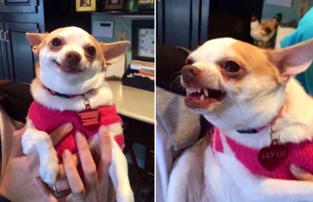 jhenesfavorite_'s tweet photo. seeing justine         vs          seeing johnny
#LoveIslandGames https://t.co/r8M0IZxDCd