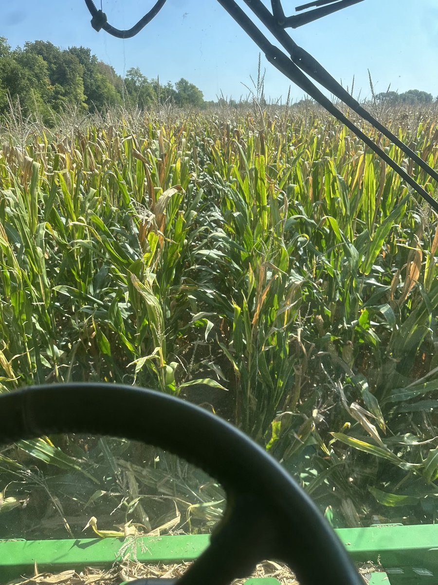 Bodie Kitchel tweet media