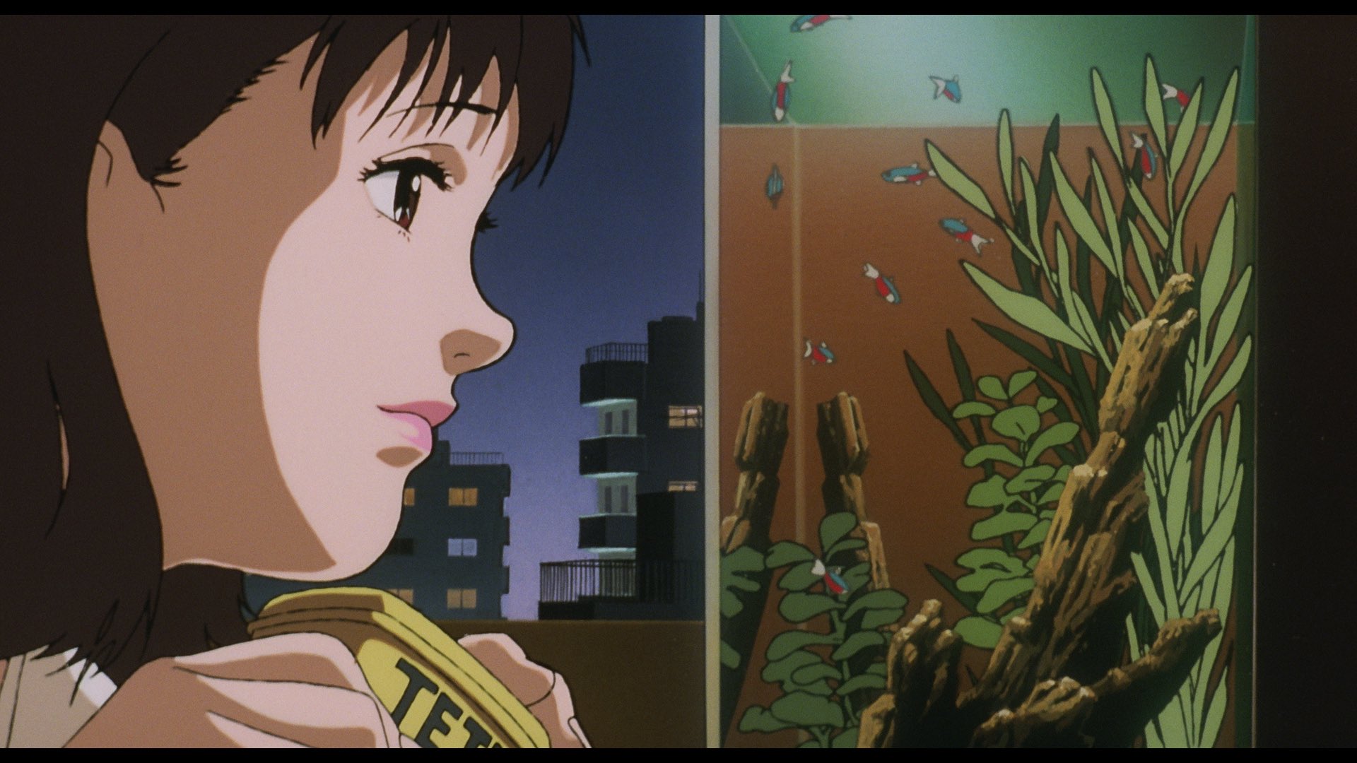PERFECT BLUE 劇場パンフレット Amazon.co.jp: 【Amazon.co.jp限定】パーフェクトブルー 4K