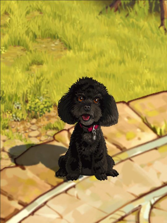 DragonSnacksGms's tweet photo. Attention snackers!! Imagine your furry friend living forever in Dragon Snacks’ upcoming game, launching worldwide in 2027. We're proud to be offering a prize for one lucky person to immortalize their furry family member in our game forever, and support Saving Great Animals 😍 https://t.co/B0Dx2PYMrB