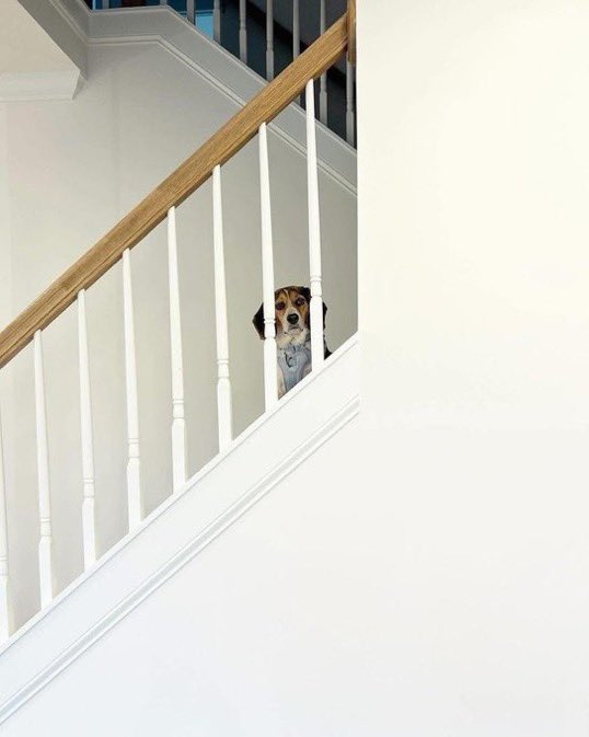 Congratulations to my client James and his wife on reaching an incredible milestone—purchasing their dream home after just 9 months of trading and investing! 🏡✨ A true testament to focus and consistency.

 You’re only a DM away from turning your own goals into reality! 🚀