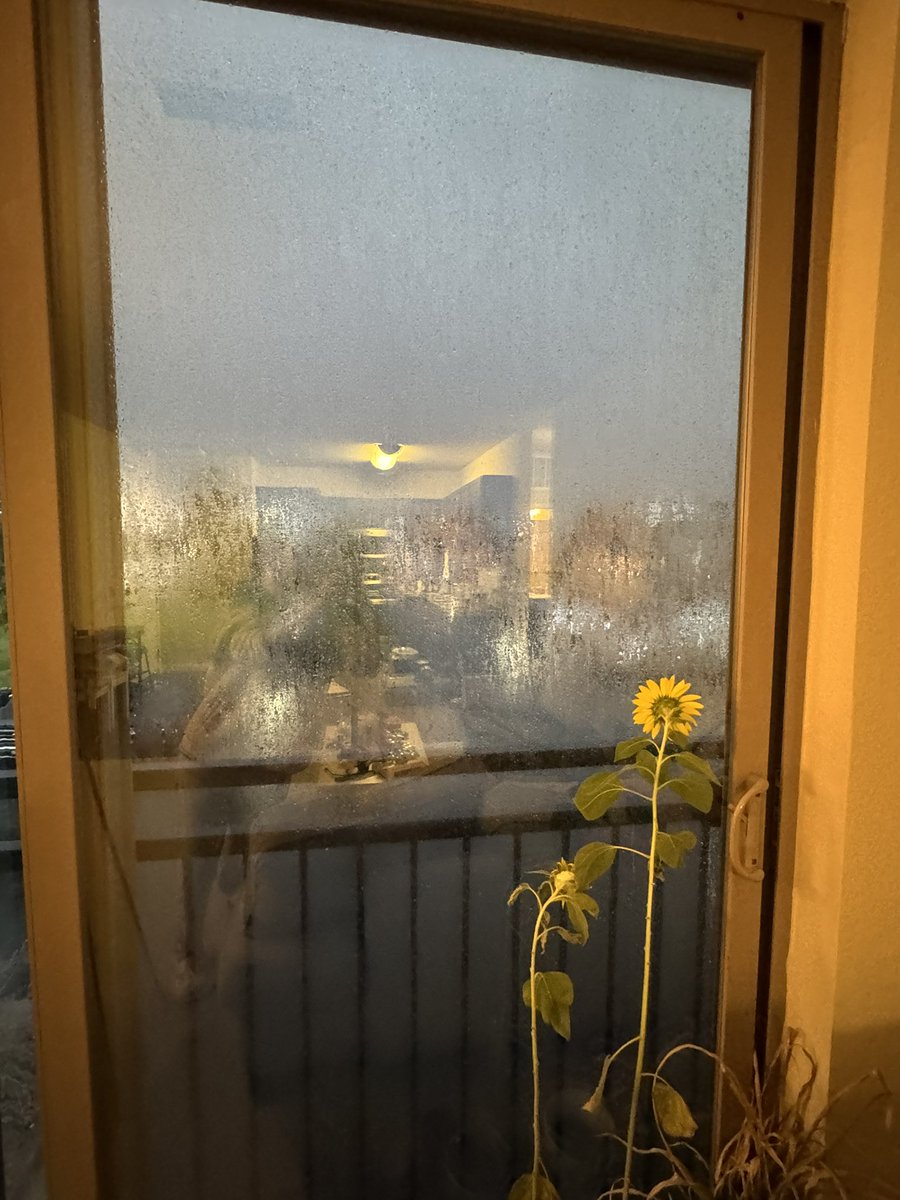 Bazinga🦋 (@bazinga419) on Twitter photo 