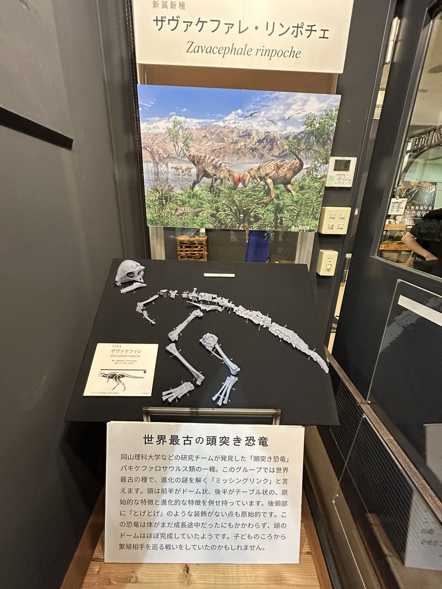 岡山理科大学 生物地球学部 恐竜学科 tweet media
