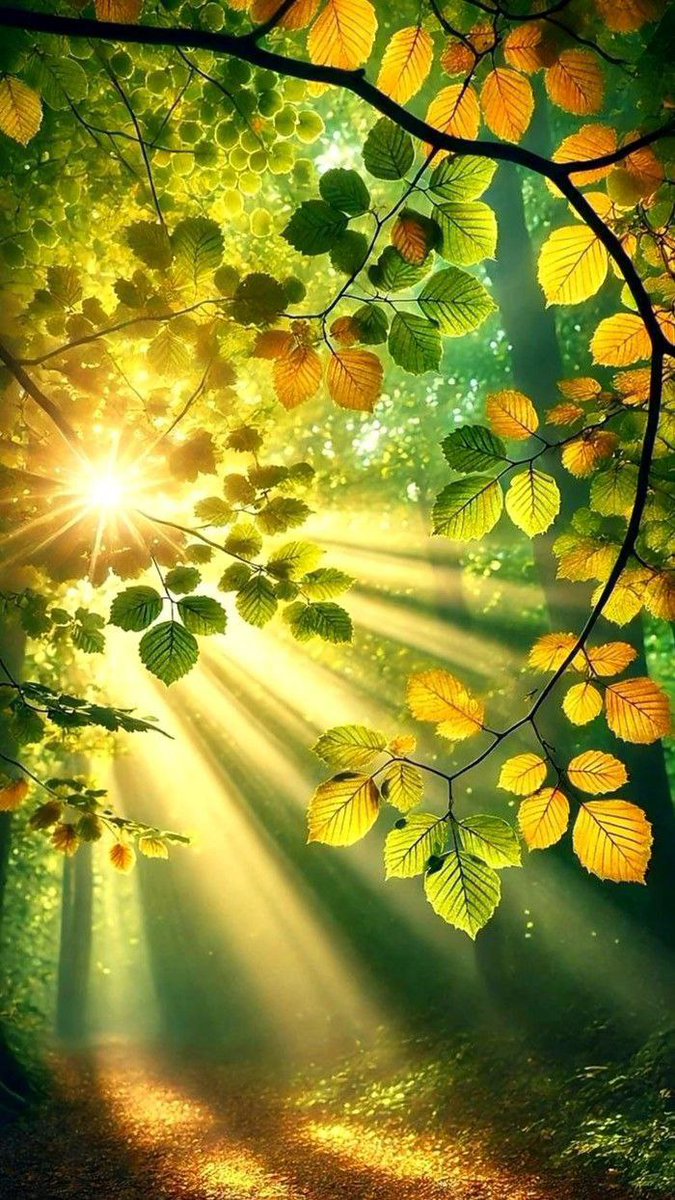 Maryooma090's tweet photo. يارب في هذا الصباح 
إمنحنا الراحة والهدوء،
 وانثر السعادة على أبواب قلوبنا،
 وطوقنا بالأمان والسكينة،
 واجعل لنا من كل ضيق مخرجًا، 
وارزقنا ما نتمنى من حيث لا نحتسب....

#صباح_الثقة_بالله https://t.co/dzFYKVa2Fs