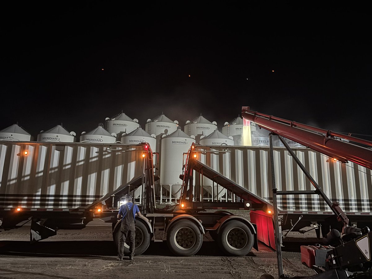 Hope harvest is going well for everyone, nice view last working with the Hubby unloading/reloading trucks
