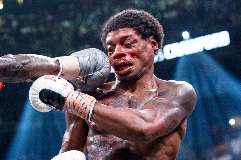 Kingdom_Crypto tweet media