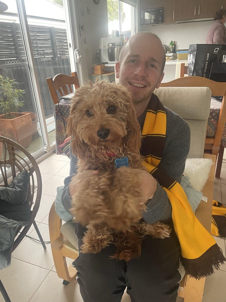 Hogybear96's tweet photo. @HawthornFC https://t.co/Q8HYOUm3si