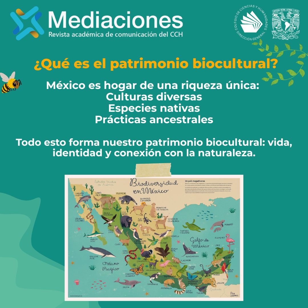 🌿 ¿Sabías que el patrimonio biocultural de México es tan valioso como frágil? Desde el maíz hasta el ajolote, nuestras culturas y ecosistemas están entrelazados en una historia que merece ser contada… y cuidada.