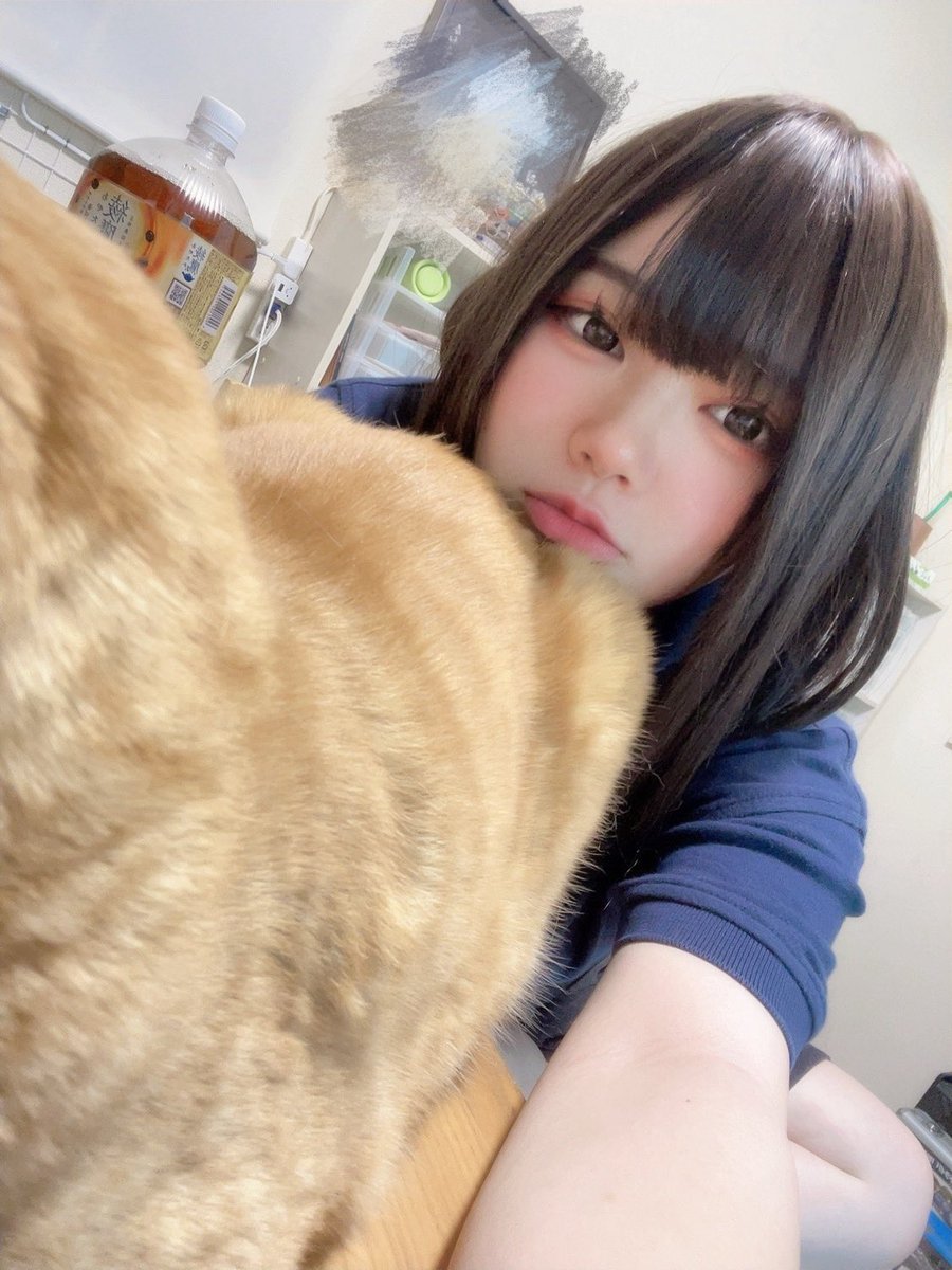 今日‼️居ます‼️
18時30分～‼️います‼️
🐱と🐼です来てください‼️
