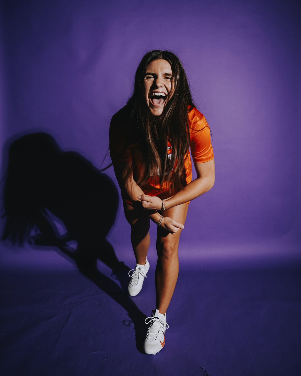 Shawn Heilbron tweet media