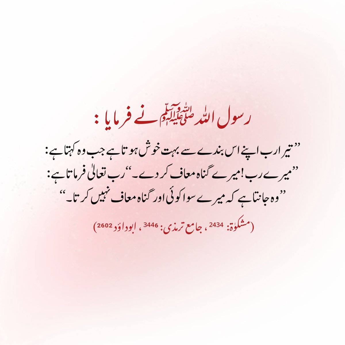 M@لK KAمRAN tweet media