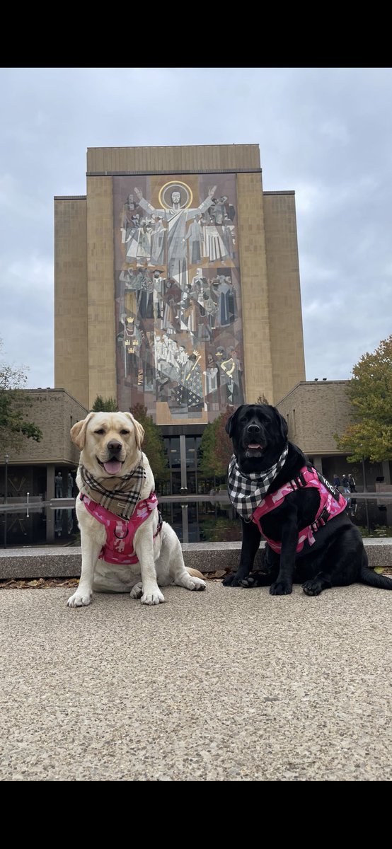 kcyanks96's tweet photo. @YogiBerraMuseum @Topps Can I bring my dogs Yogi and Ruth to the event? https://t.co/qfRag5NbqX