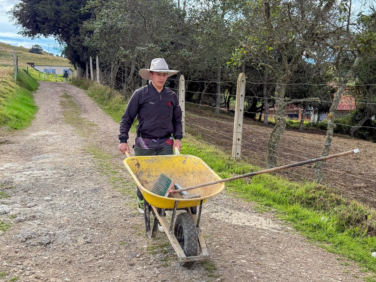SENABoyaca's tweet image. 👏 Gracias al aprendizaje práctico, los habitantes de la vereda El Salvial ahora cuentan con un acceso digno y seguro 🛣️.

Nuestros aprendices pusieron en marcha sus conocimientos 🧱🔨 para aportar al desarrollo de su comunidad 💪💚

#Campesena #FormaciónQueTransforma #SENABoyacá