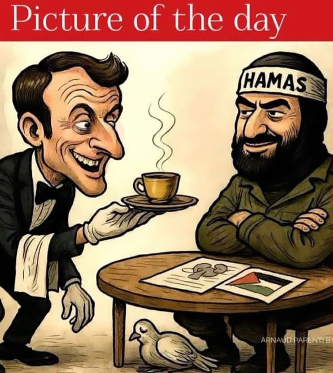 redbrasco's tweet image. 