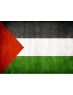 Helico de Santiago (@helicosantiago) on Twitter photo 