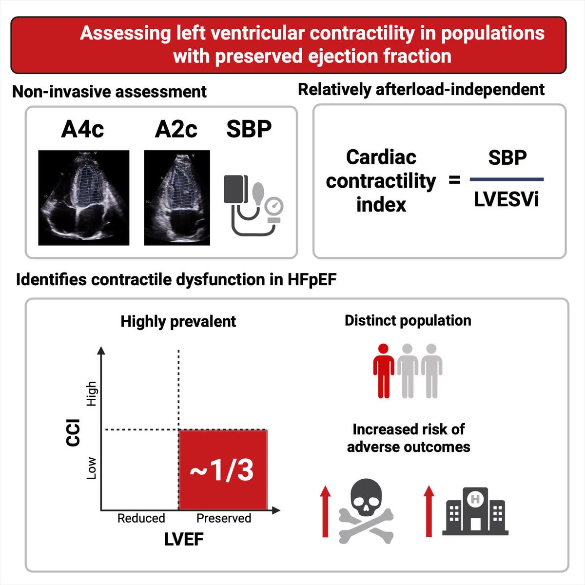CircImaging (@circimaging) on Twitter photo Cardiac contractility index helps stratify risk in HFPEF and patients with normal EF <a href="/DrSamStraw/">Sam Straw</a> <a href="/OllyBrown/">Olly Brown</a> <a href="/stephescope/">Stephe Kamalathasan</a> <a href="/paton_maria/">Maria</a> <a href="/Burgess1Ruth/">Ruth Burgess💙</a> <a href="/DrMikeDrozd/">Mike Drozd</a> <a href="/tom__slater/">Tom Slater</a> <a href="/sdrelton/">Samuel Relton</a> <a href="/EylemLevelt/">Eylem Aslan-Levelt</a> <a href="/KlausKWitte/">Dr Klaus Witte MD</a> <a href="/RicCubbon/">Richard Cubbon</a> <a href="/JohnGierula/">John Gierula PhD</a> #AHAJournals ahajrnls.org/3VUZmWU Cardiac contractility index helps stratify risk in HFPEF and patients with normal EF <a href="/DrSamStraw/">Sam Straw</a> <a href="/OllyBrown/">Olly Brown</a> <a href="/stephescope/">Stephe Kamalathasan</a> <a href="/paton_maria/">Maria</a> <a href="/Burgess1Ruth/">Ruth Burgess💙</a> <a href="/DrMikeDrozd/">Mike Drozd</a> <a href="/tom__slater/">Tom Slater</a> <a href="/sdrelton/">Samuel Relton</a> <a href="/EylemLevelt/">Eylem Aslan-Levelt</a> <a href="/KlausKWitte/">Dr Klaus Witte MD</a> <a href="/RicCubbon/">Richard Cubbon</a> <a href="/JohnGierula/">John Gierula PhD</a> #AHAJournals ahajrnls.org/3VUZmWU