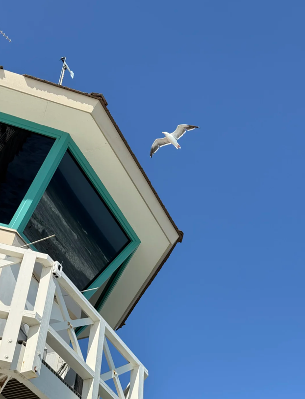 MeksPro's tweet image. The beauty of an instant