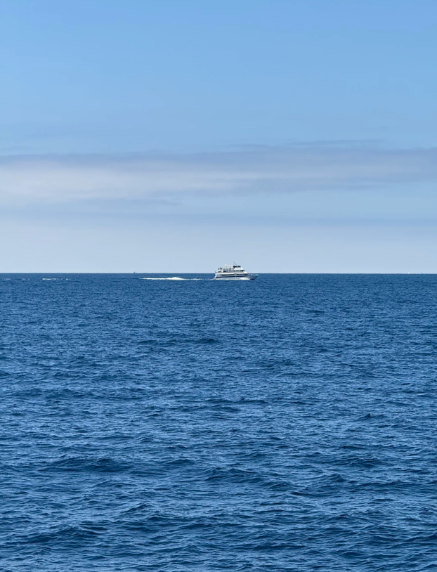 MeksPro's tweet image. The beauty of an instant