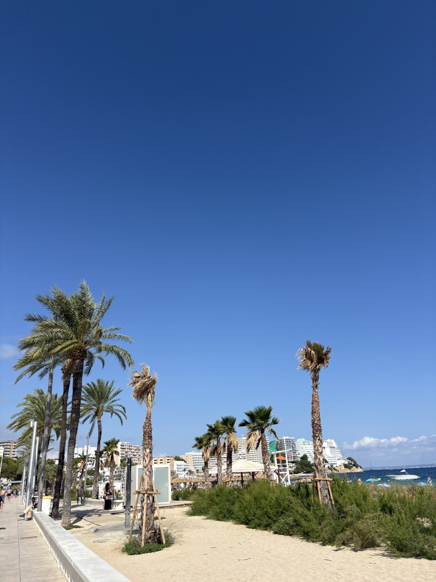 Maga ✅🌶️🌞💃🏽🥘