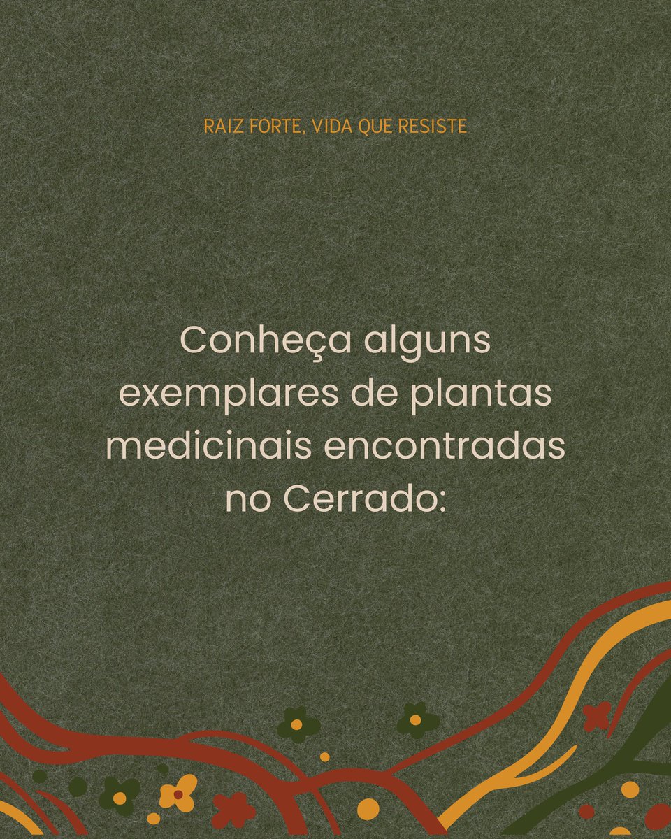 A vida no Cerrado - AVINC tweet media