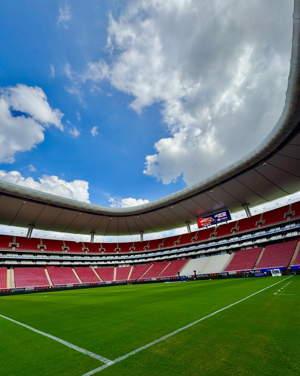 TigresOficial tweet picture