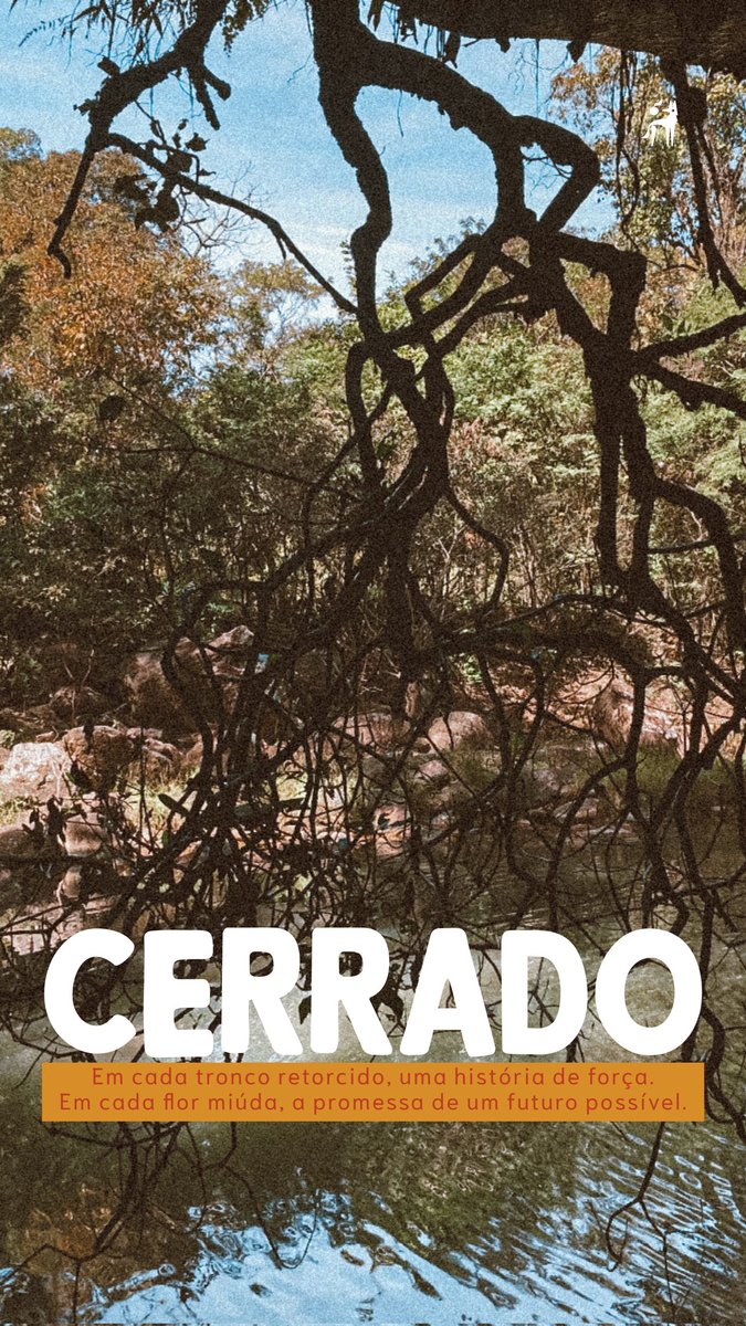 A vida no Cerrado - AVINC tweet media