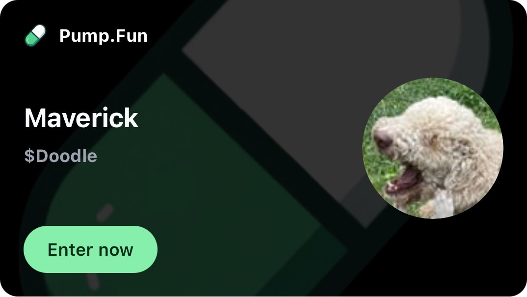 ElephantBurner's tweet image. pump.fun/coin/5HBokfkaY…