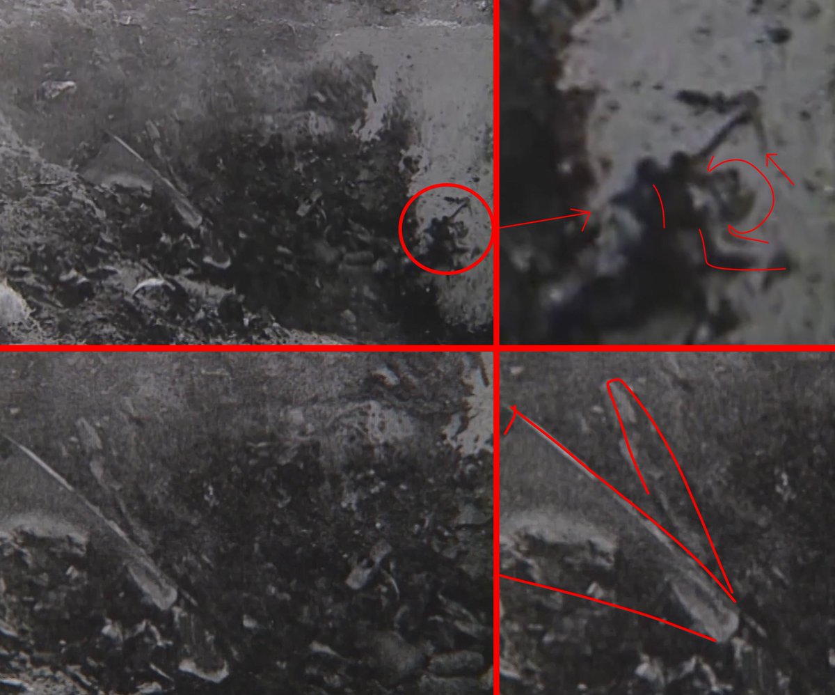 Grey alien in the official video from the Roswell crash site — confirmed?