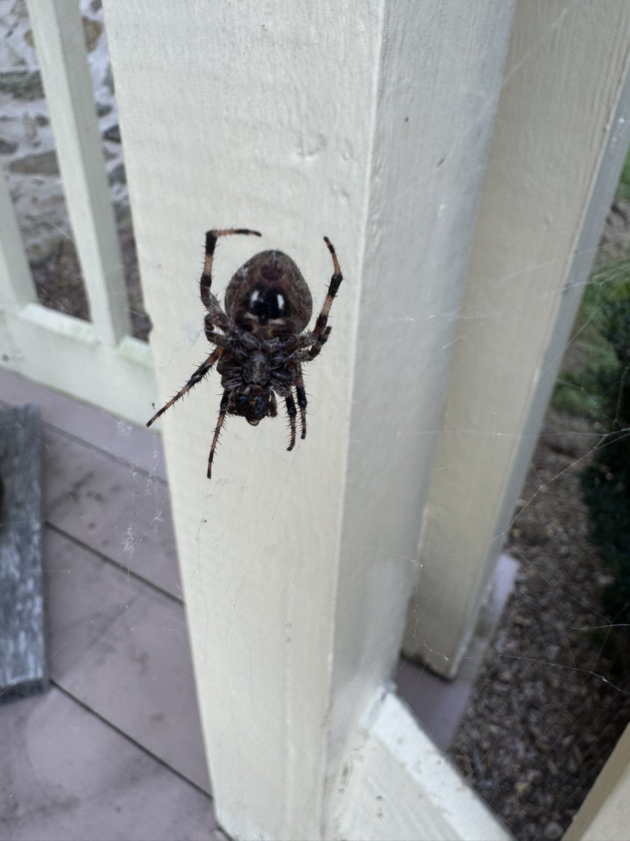 🌎Wεŋđσℓγŋ🐝 tweet media