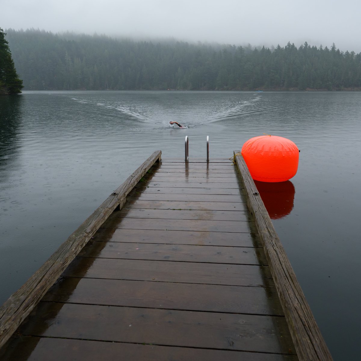 ÖTILLÖ Swimrun: Orcas Island 2025

An endurance partner race consisting of 26 segments of continuous swimming and running—which means we swam in our sneakers and ran with our swim caps and goggles. 

✅21 miles running
✅3.5 miles swimming
✅4.8k ft of elevation gain

w/
