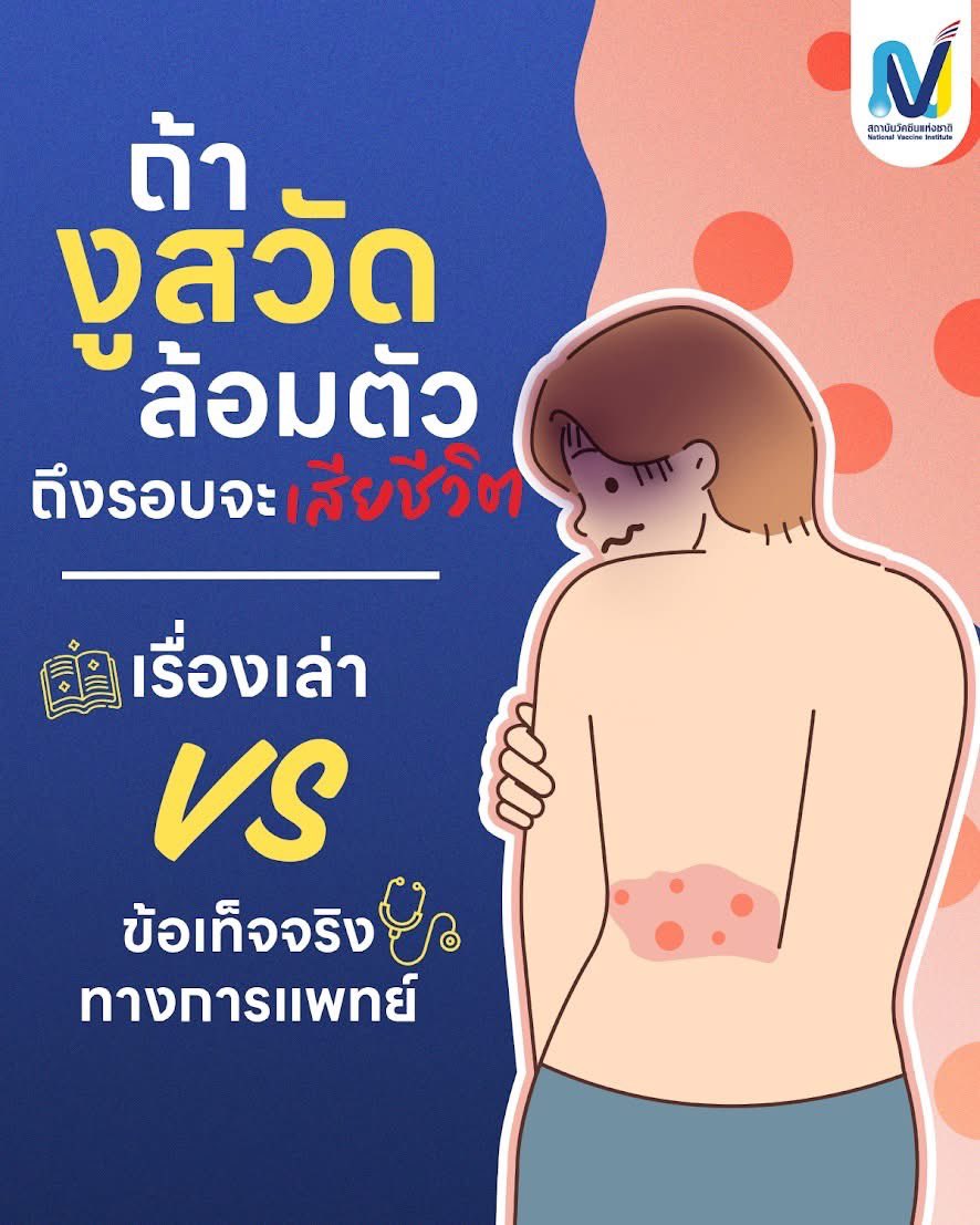ถ้างูสวัดล้อมตัวถึงรอบจะเสียชีวิต” เรื่องเล่า VS ข้อเท็จจริงทางการแพทย์ อ่านต่อคลิก facebook.com/share/p/1FswqX…