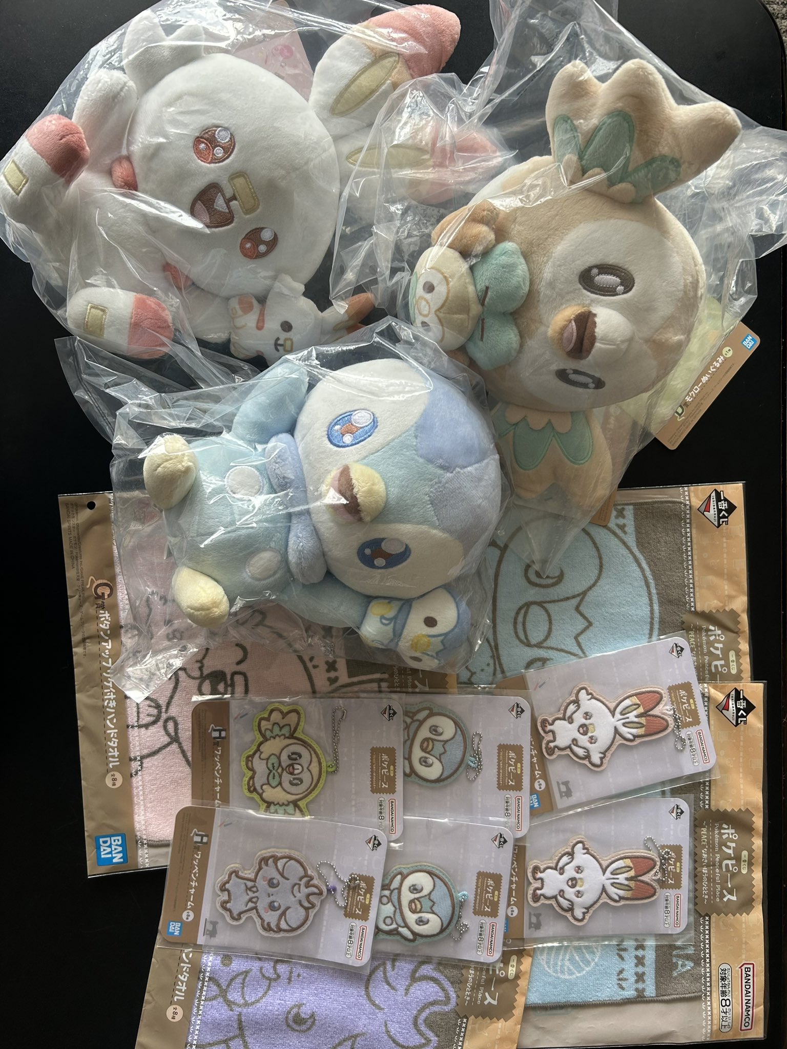 𝕃𝕌𝕂𝔸 🧢🌈夏の推しポケ達のグッズ集中ヤバソチャ on X