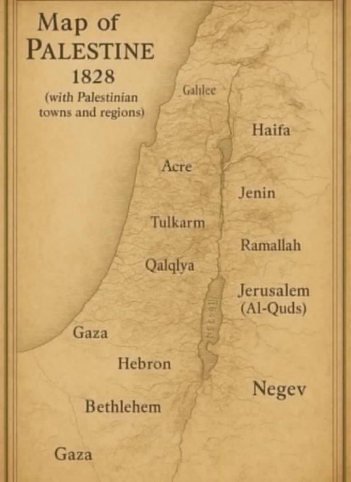 LilyFayed's tweet photo. Always Palestine... https://t.co/8TDSvvo3Ii
