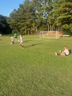 LDGA Goalkeeping tweet media