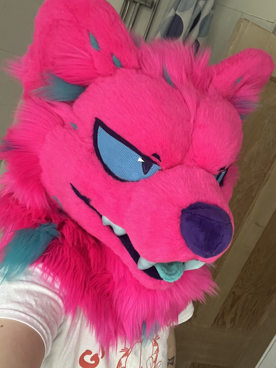 Myles 🥝SHOP OPEN tweet media