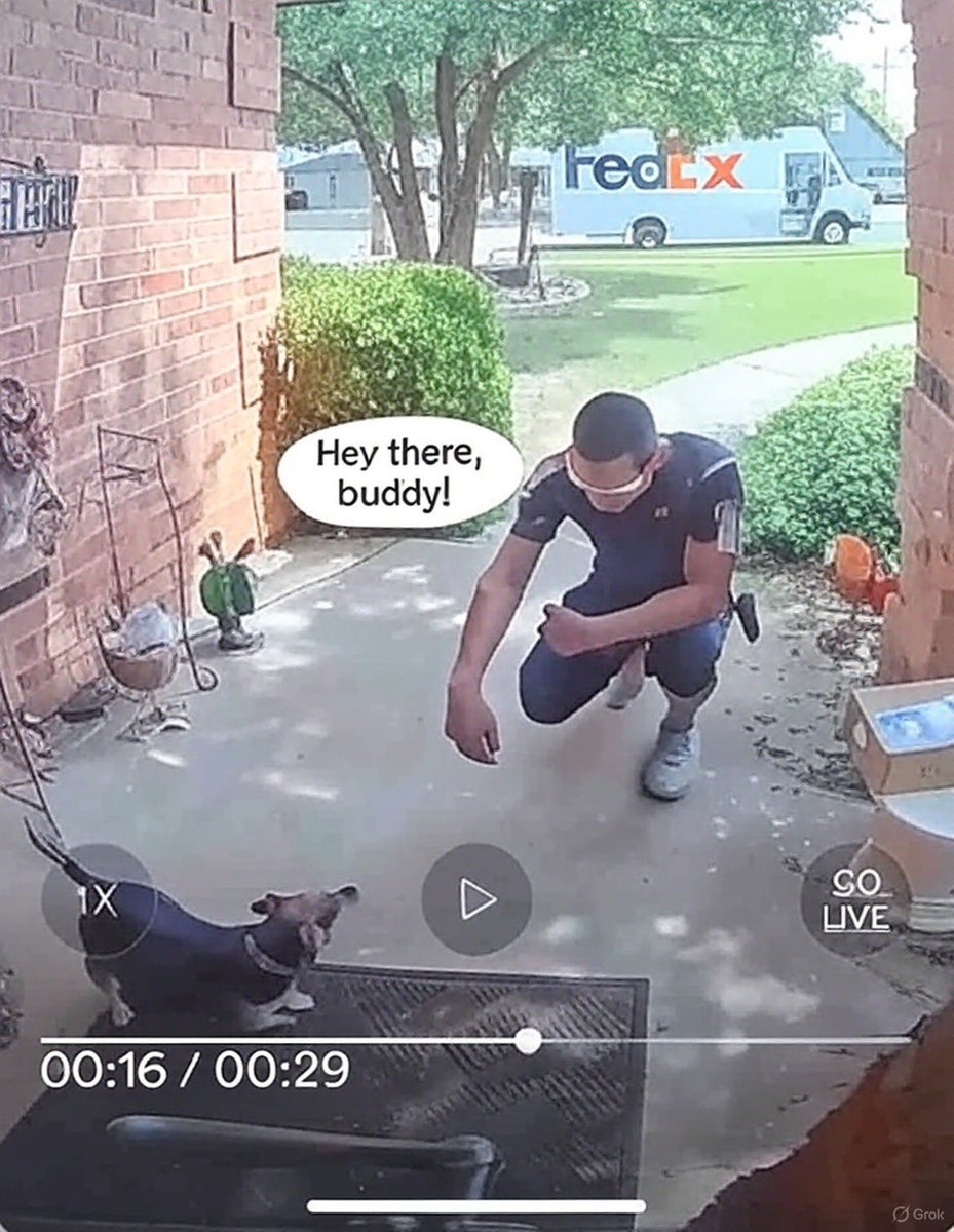 txscoobagal's tweet photo. Shout out to the Lubbock TX @FedEx guy who talked to my doggo that slipped the storm door that wasn’t quite shut until I could hop on Vivint to ask him to open the door back so she would go back in. THANK YOU ☺️ Hubs is fired for not shutting door all the way btw https://t.co/Y14xsQwo5d