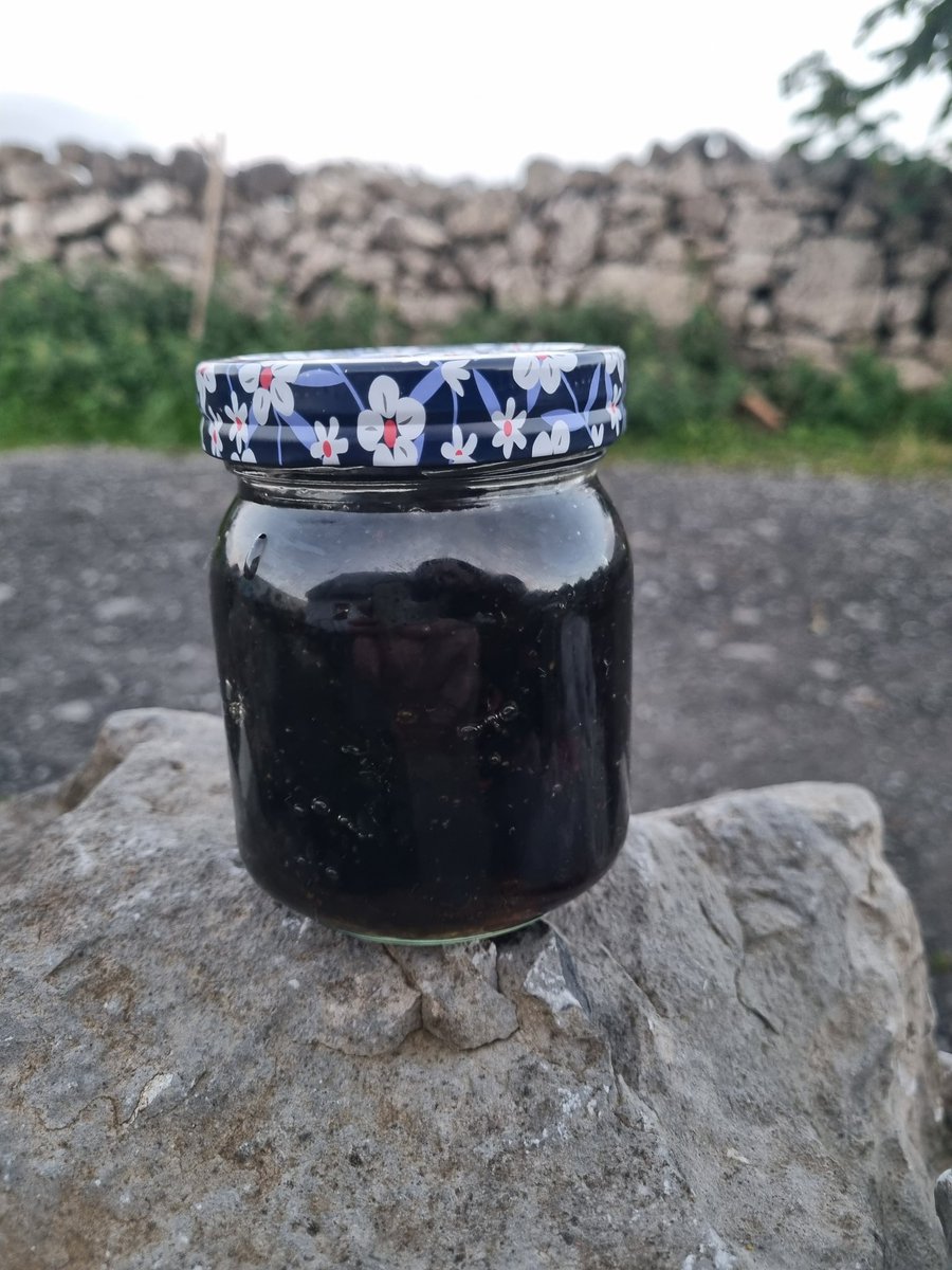 bealach9239's tweet photo. Blackberry honey ferment.
Fill your jar with honey to neck, fill jar with raw honey, stir once a day for two weeks the refrigerate! Mo goodness destroyed by heat. Yields twice as much as traditional sugar jam! https://t.co/ETZWV1hXIv