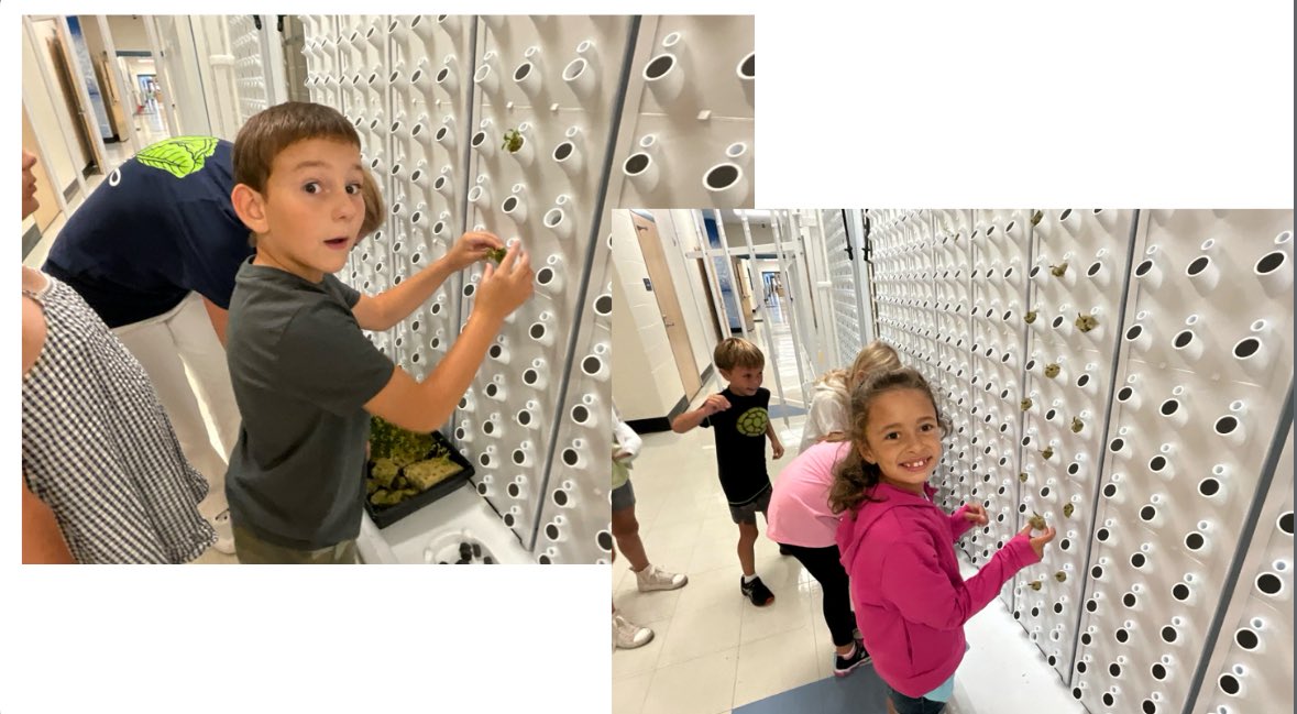 Glenn Robbins tweet media