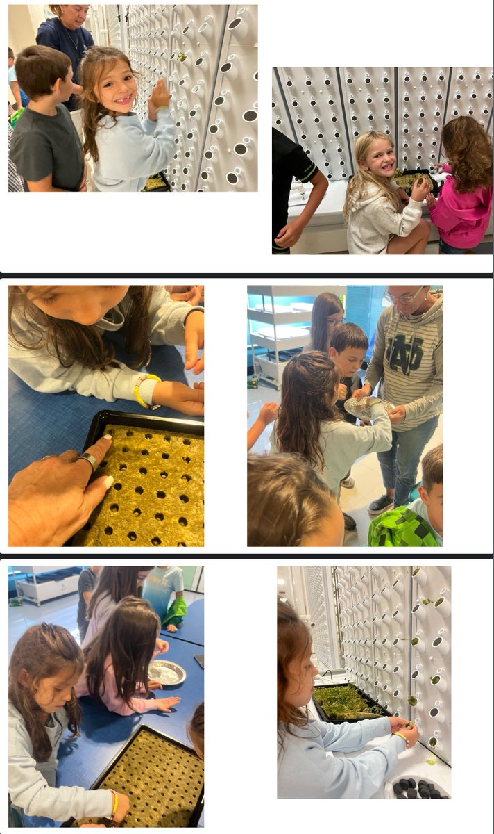 Glenn Robbins tweet media