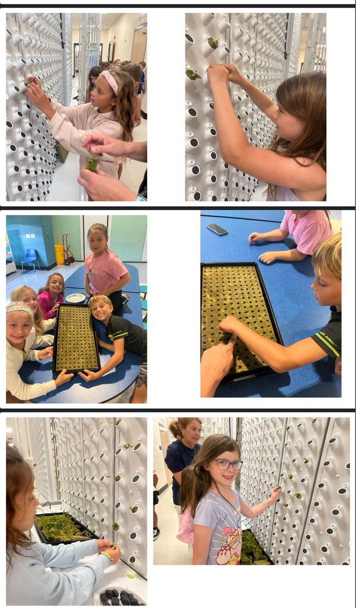 Glenn Robbins tweet media